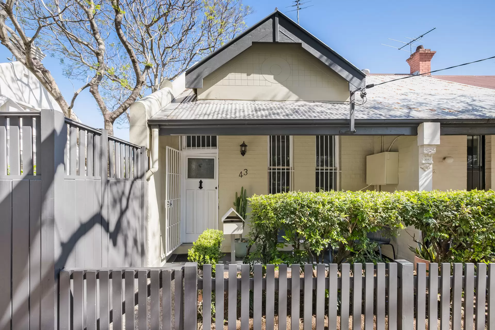 43 Ashmore Street, Erskineville Sold by Adrian William