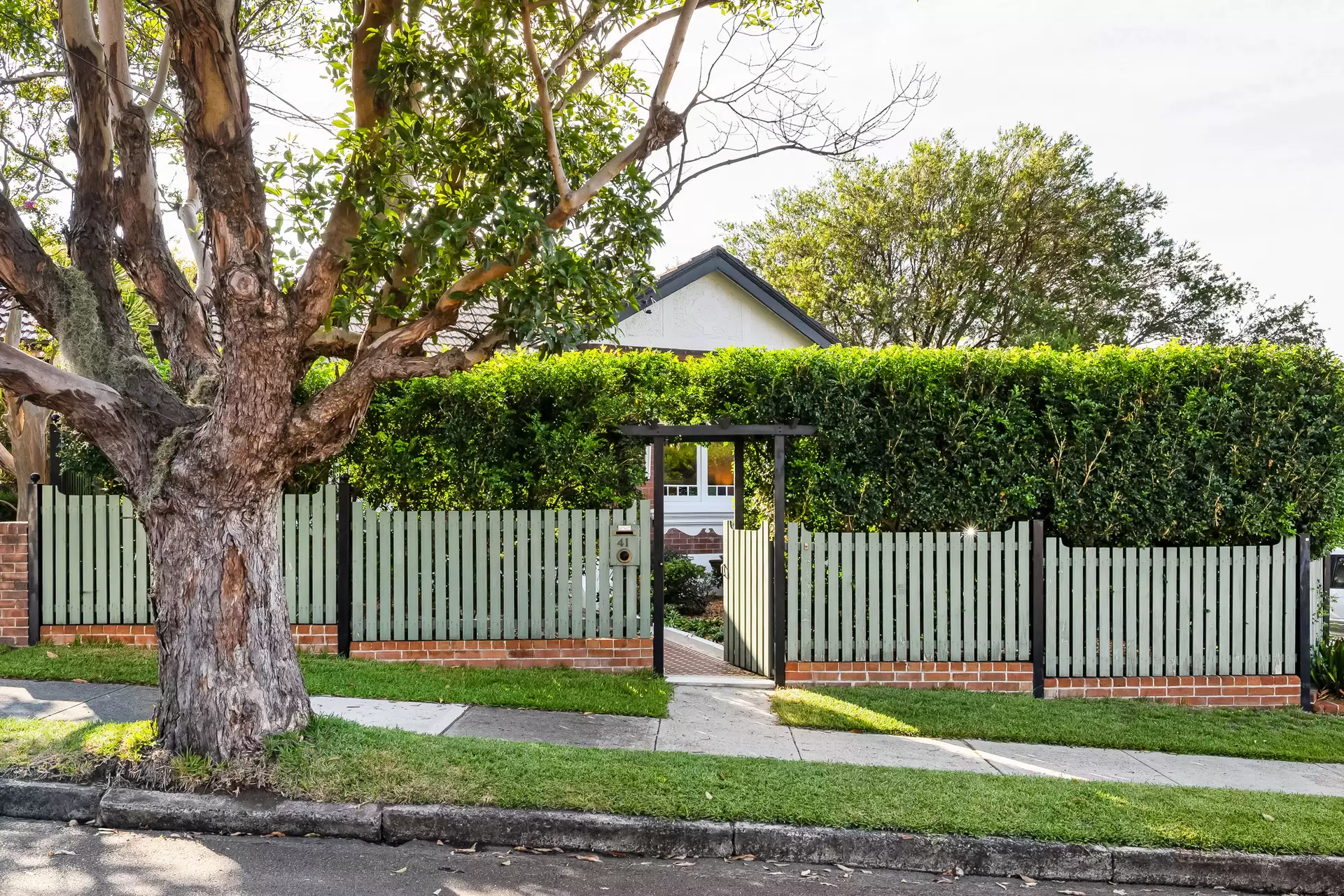 41 Melford Street, Hurlstone Park Auction by Adrian William