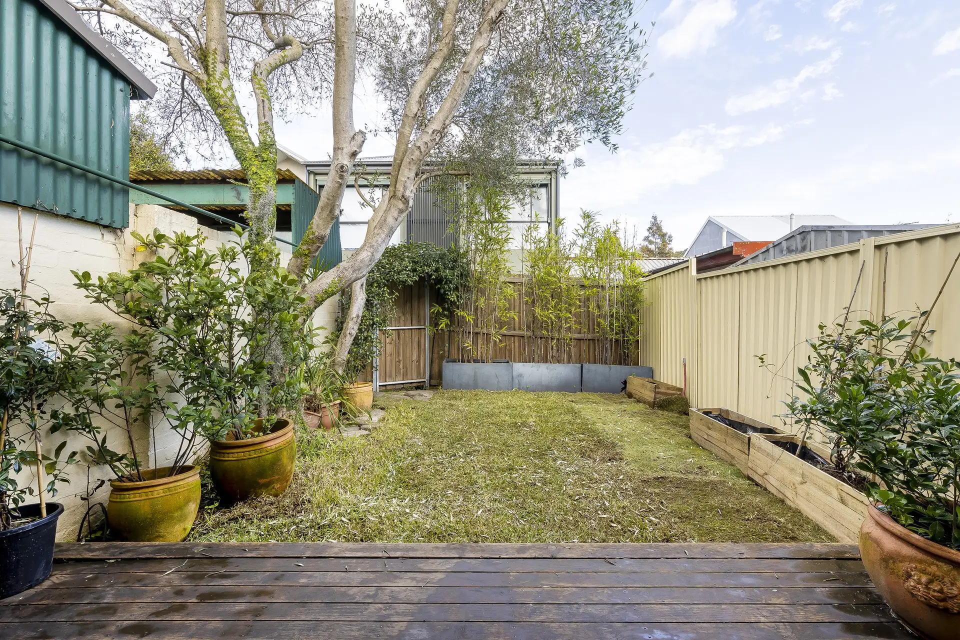 27 Lewisham Street, Dulwich Hill Leased by Adrian William