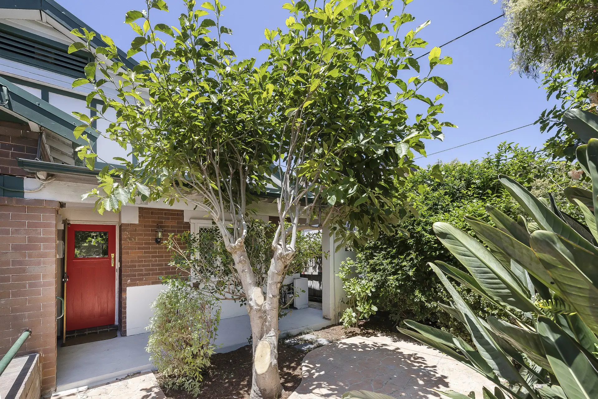 53 Union Street, Dulwich Hill Leased by Adrian William